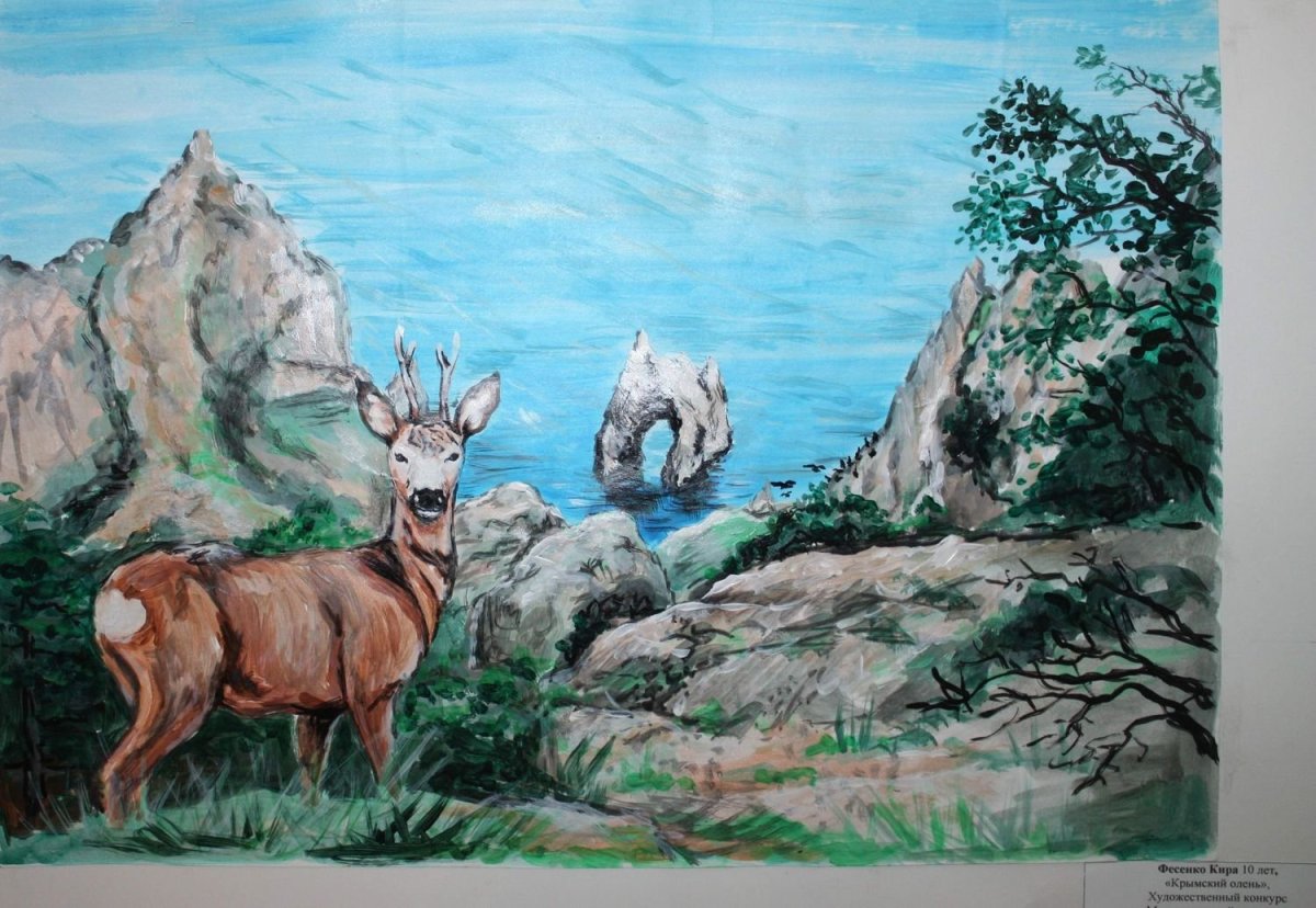 Всероссийский конкурс мир заповедной природы