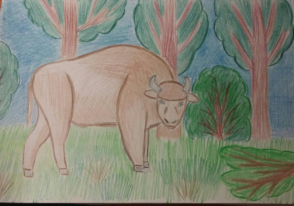 Нарисовать заповедник