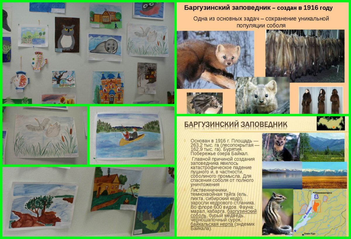 Картины зубры в Дубраве