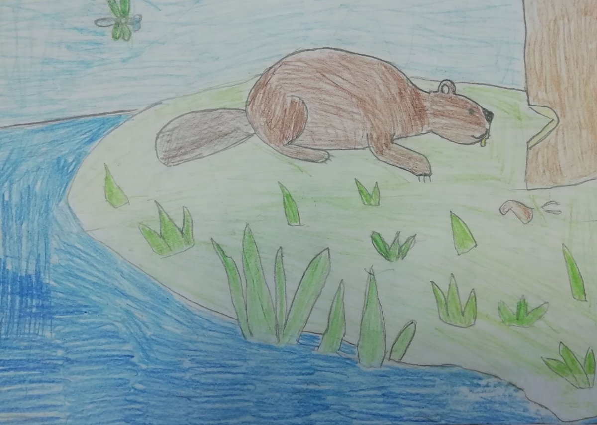 Что такое заповедник для детей