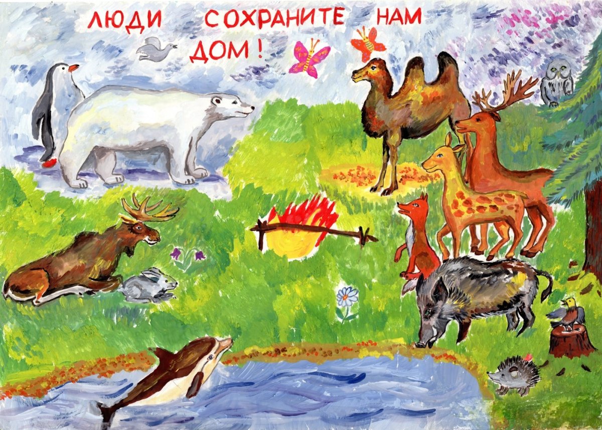 Рисунки заповедника детские