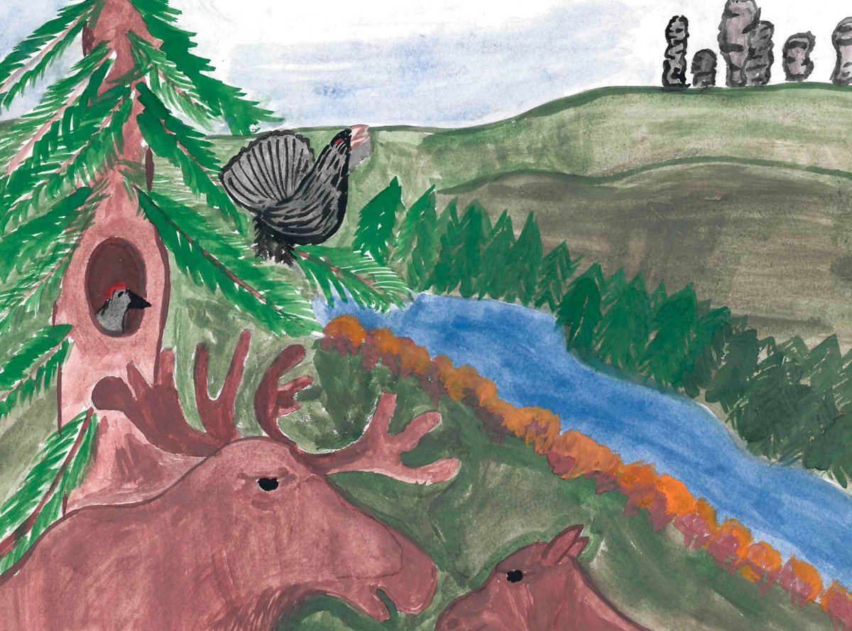 11 Января день заповедников и национальных парков