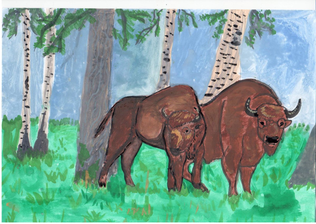 Государственным природным заповедником "Буреинский" логотип