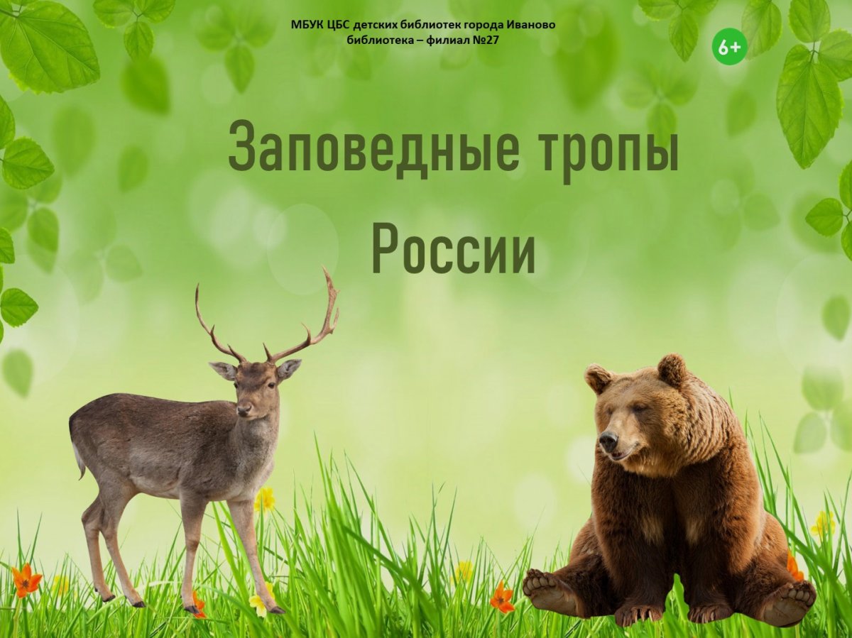 Заповедник «Приволжская лесостепь» Пенза