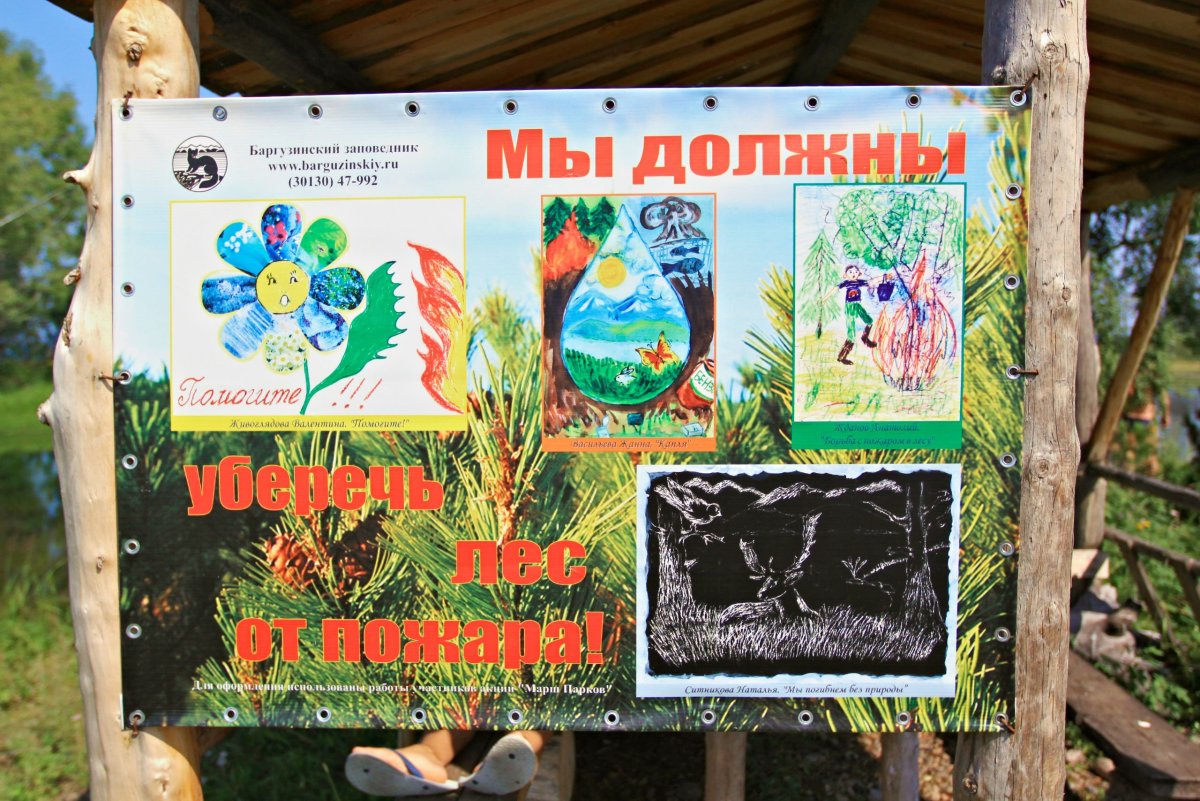 Рисование животные в лесу