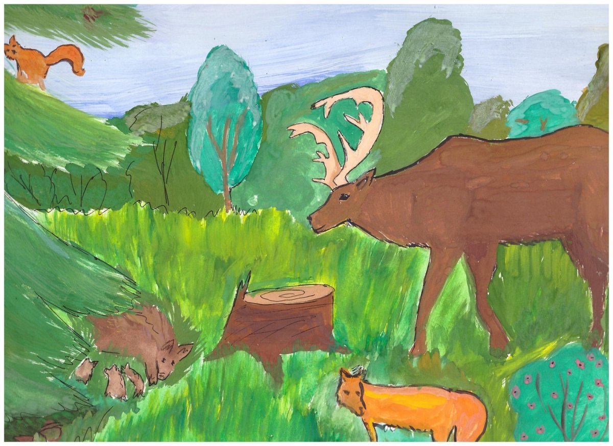 Конкурс рисунков это Мои горы