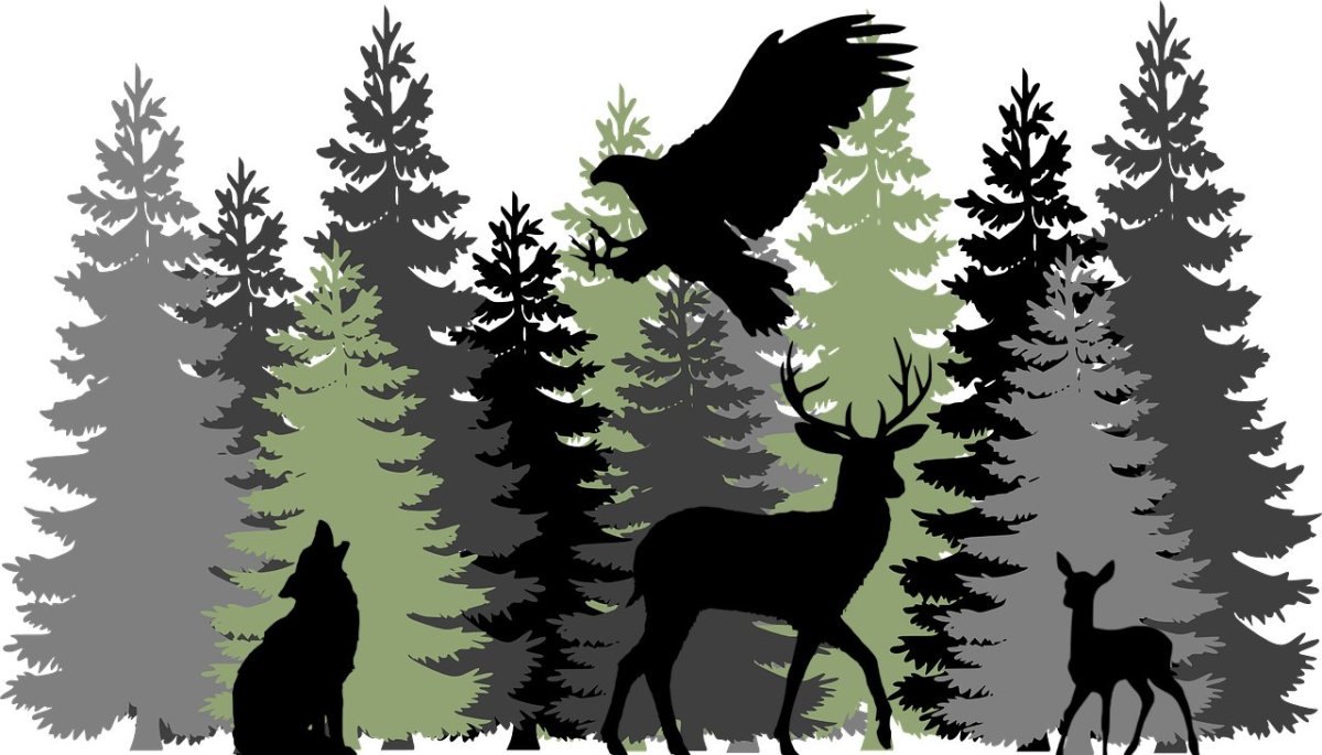 Всероссийский день заповедников символ