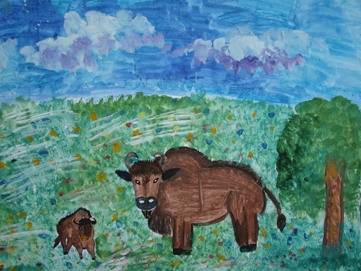 Заповедная природа рисунки