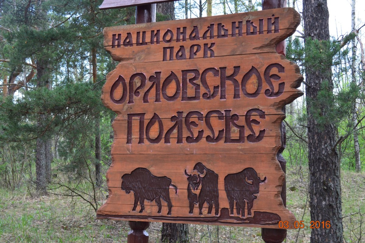 Мир заповедной природы рисунки