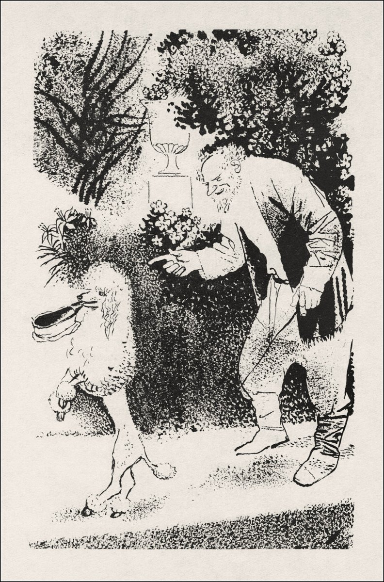 Иллюстрации белый пудель