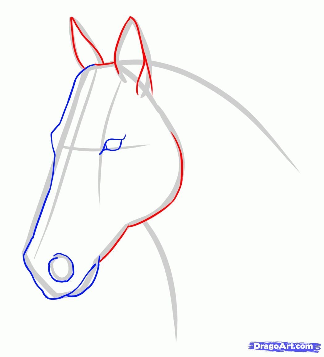 Рисуем лошадь поэтапно. Лошадь рисунок. Лошадь карандашом. Поэтапный рисунок лошади. Лошадь рисунок карандашом.