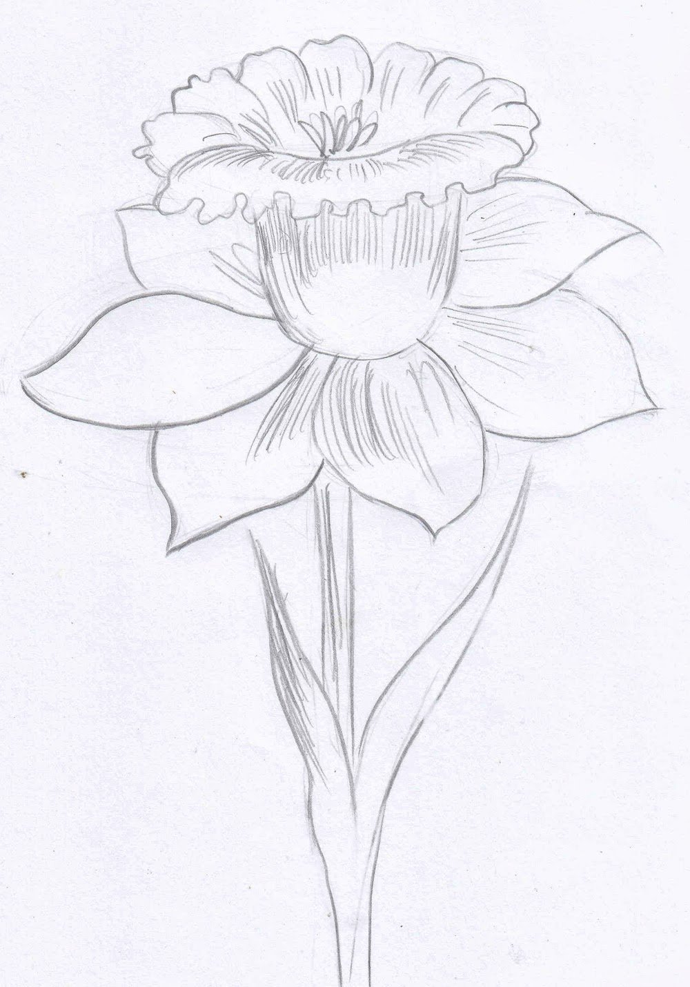 Рисунок цветов простым карандашом. Цветы для срисовки. Рисунки цветов для срисовки. Цветы рисунок карандашом. Цветок рисунок карандашом легкий.