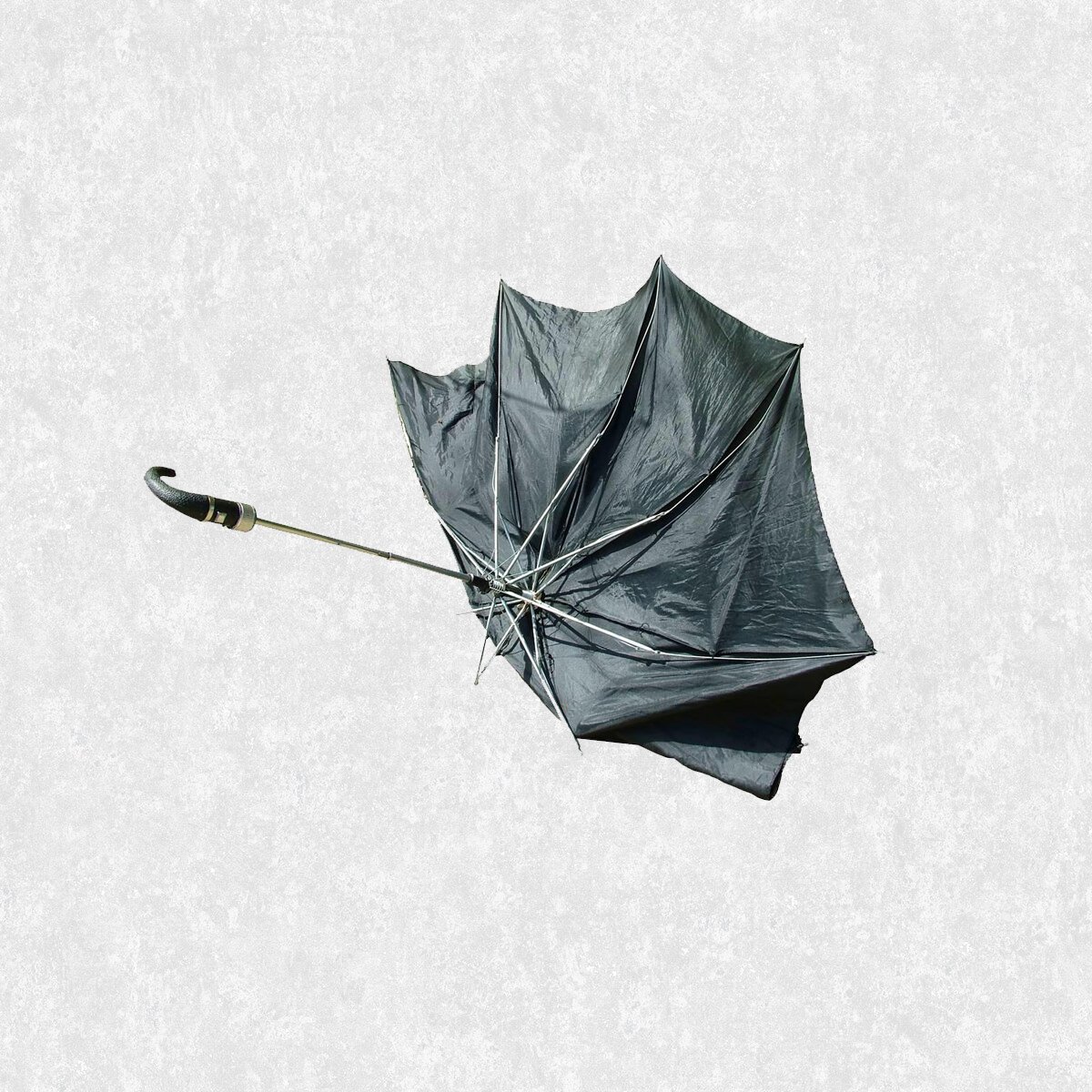 Любимый зонтик. Зонт Black Swan 3x3. Сломанный зонтик. Старый зонт. Сломался зонт.