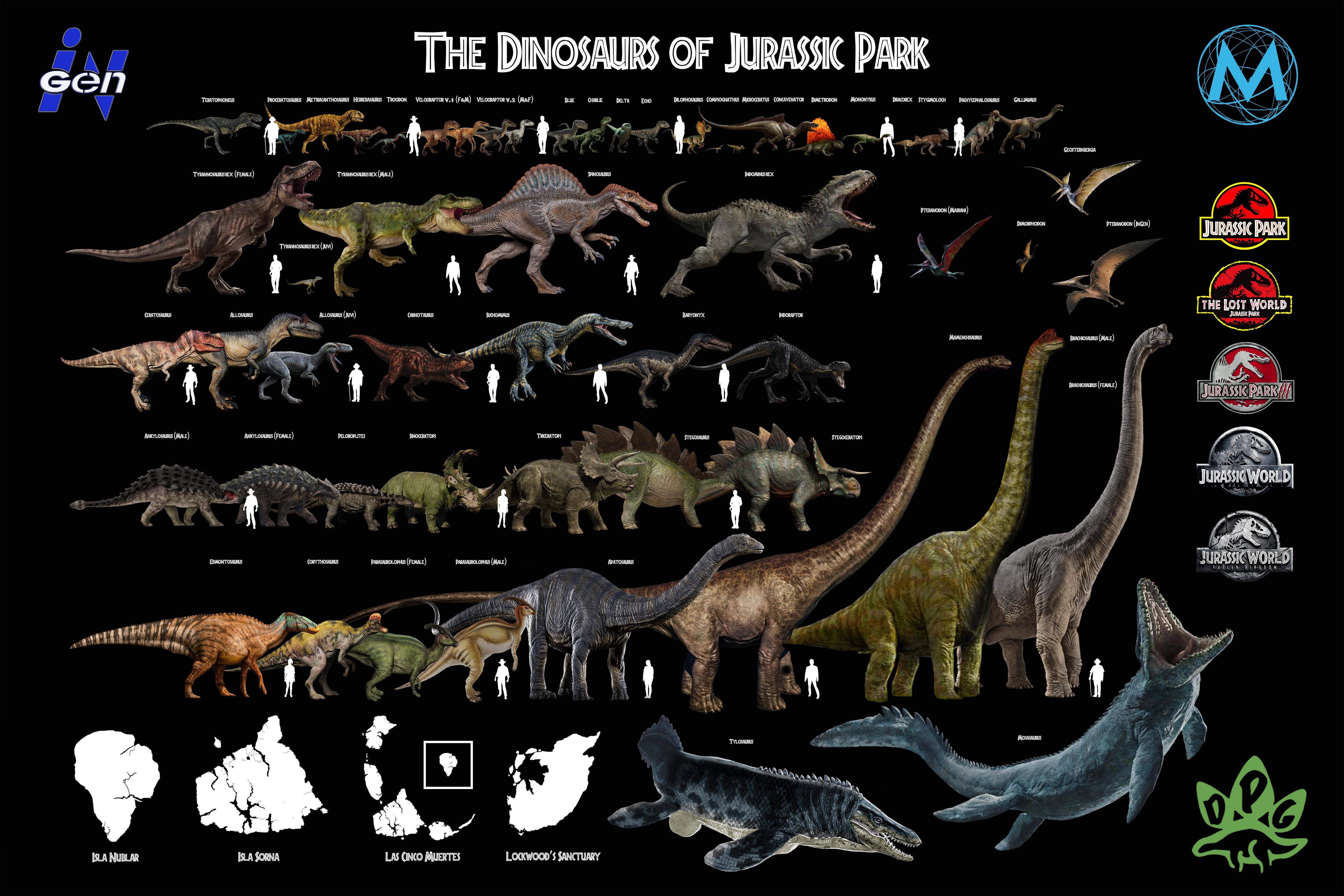 Сравнение динозавров. Юрасик парк 3 динозавр. Таблица динозавров мир Юрского периода 3. Мир Юрского периода господство динозавры. Мир Юрского периода размер динозавров.