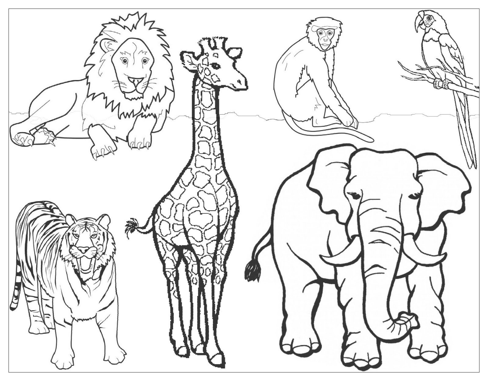 Животные группами раскраски. Раскраска зоопарк. Зоопарк раскраска для детей. Раскраски зоопарк для детей 3-4 лет. Животные из зоопарка раскраски для детей.