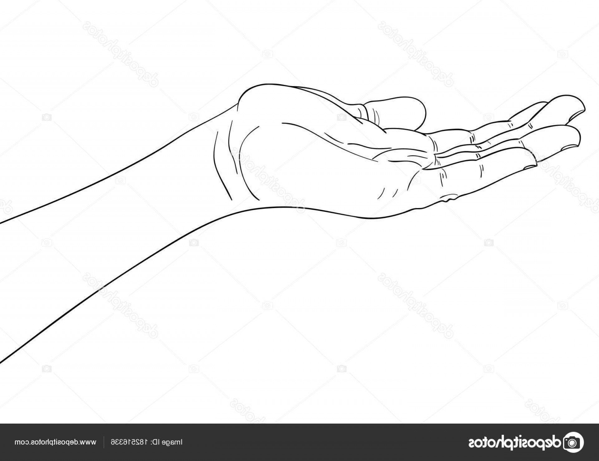 Рука сверху и снизу. Ладонь раскраска. Рука раскраска. Вытянутая рука. Рисование руки человека.