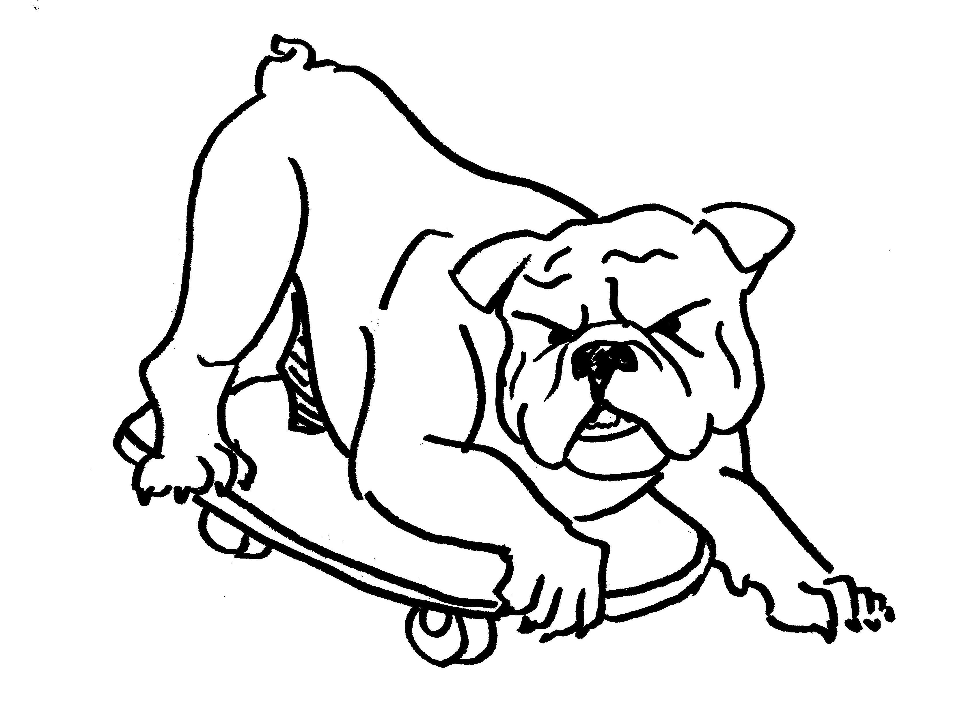 У меня был пес по кличке булька. Раскраска французский бульдог. Раскраска "собаки". Английский бульдог раскраска. Бульдог рисунок для детей.