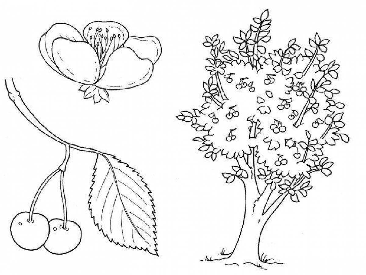 Яблоня карандашом. Дерево раскраска для детей. Раскраска деревья и кустарники. Раскраска деревья и кустарники для детей. Вишня дерево раскраска для детей.