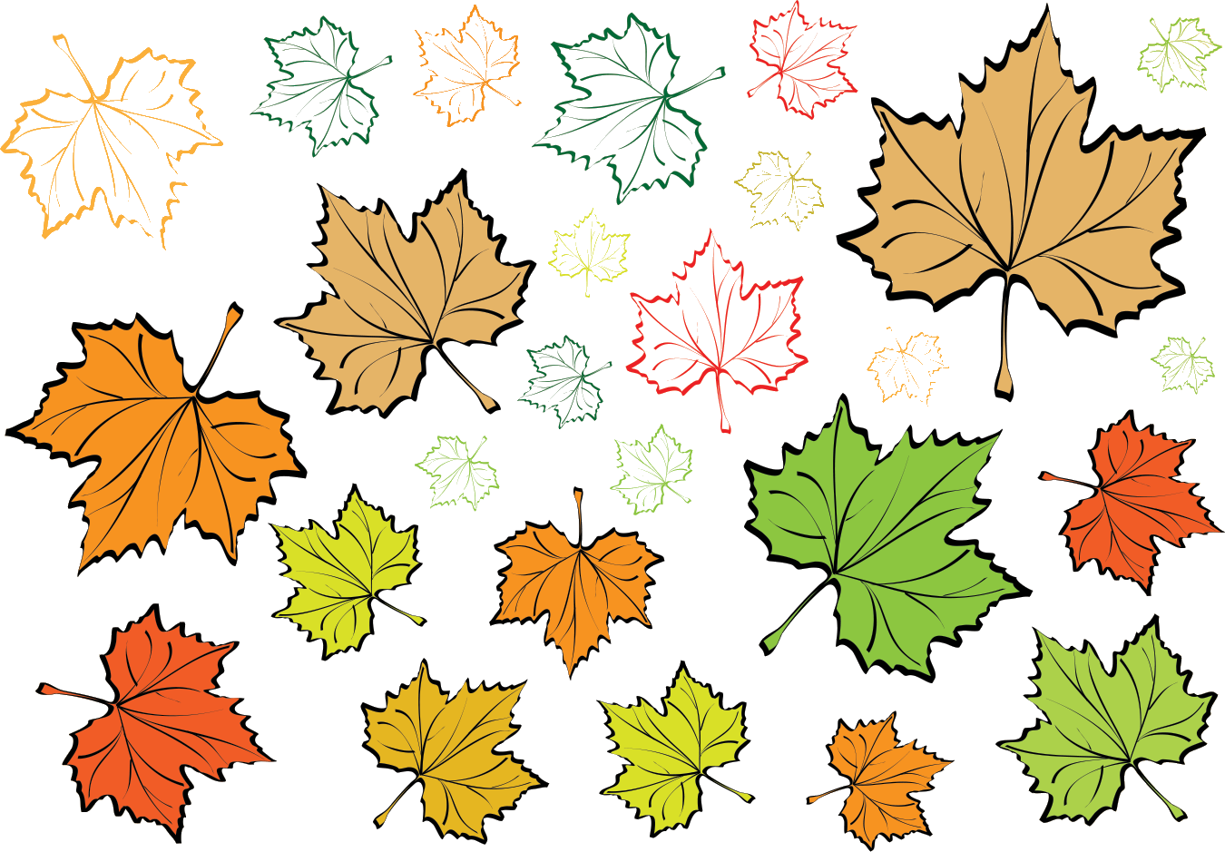 Разноцветный лист клена. Осенние листья рисунок. Кленовый лист рисунок. Рисунки осенних листьев. Кленовые листочки рисунок.