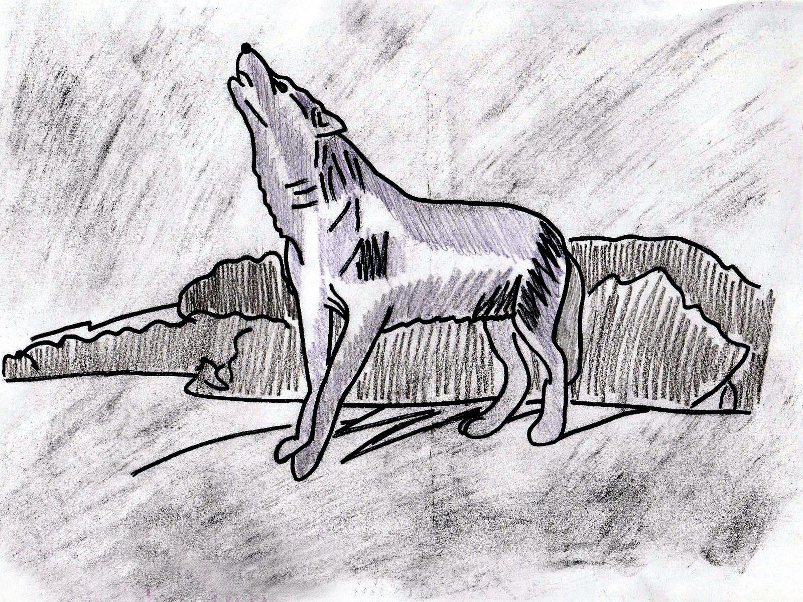 Произведение бурый волк. Белый клык Джек Лондон рисунок. Бурый волк Джек Лондон. Рисунки к произведению белый клык. Рисунок на тему белый клык карандашом.