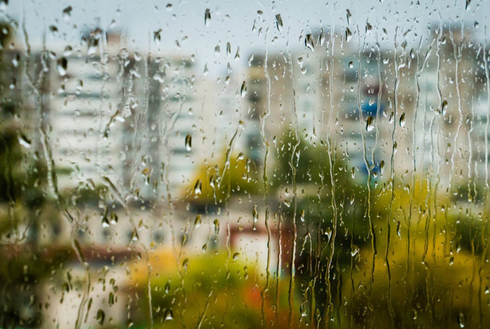 Немножко дождик. Лето дождь. Дождь в окне. Дождь за окном.