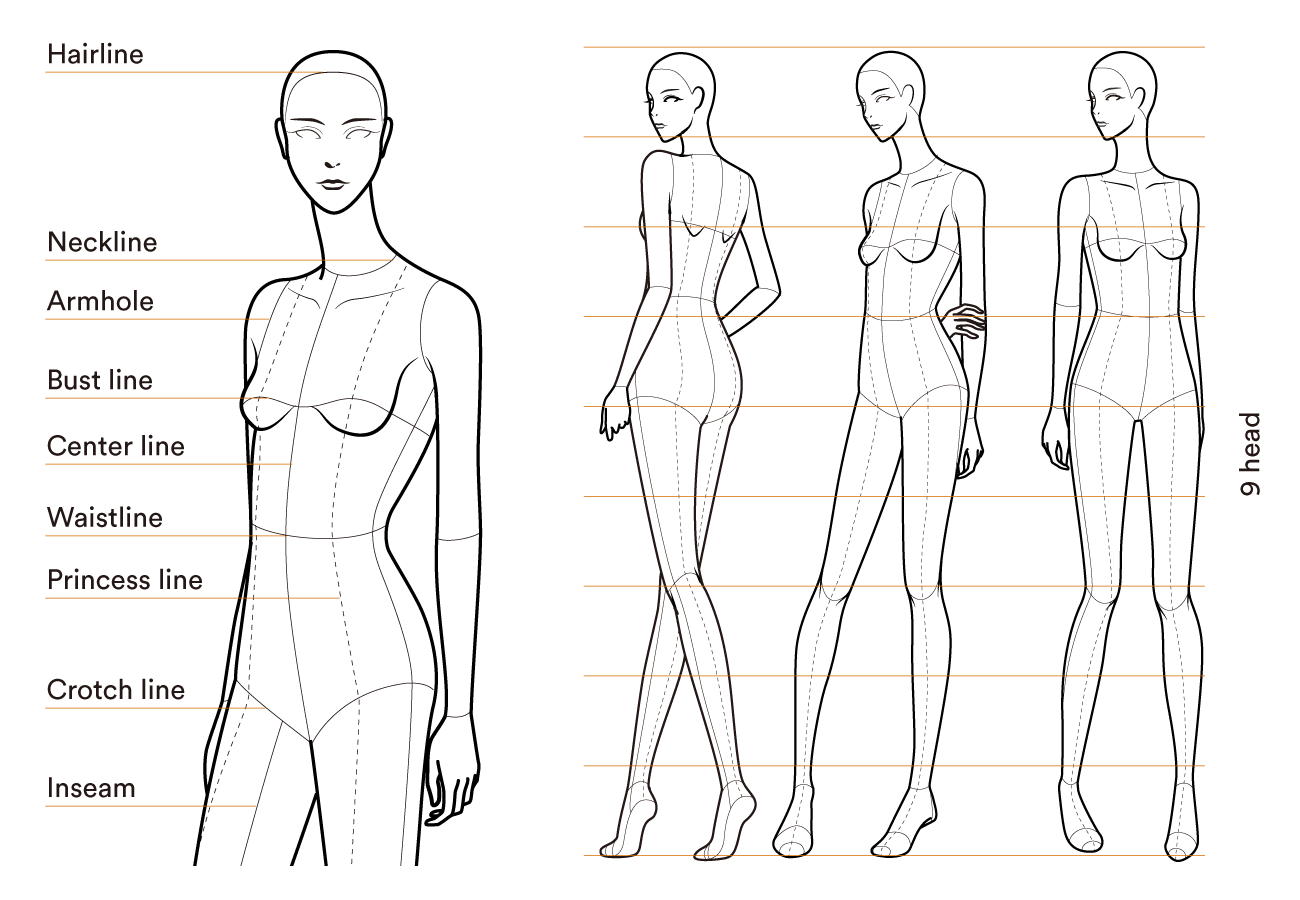 Рисунок женской фигуры для моделирования одежды