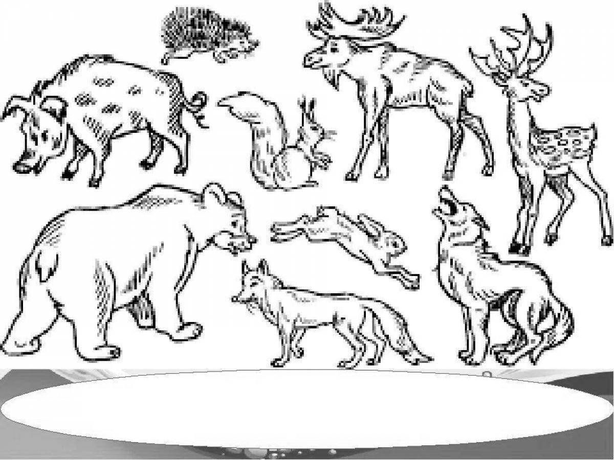 Животные группами раскраски. Раскраска животные леса. Рисунки животных для детей. Раскраска "Дикие животные". Дикие звери раскраска.