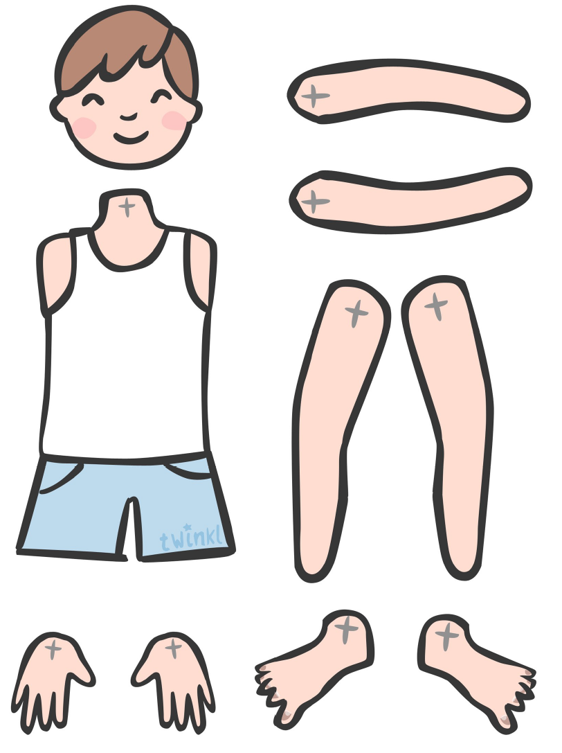 Картинка тело человека для детей