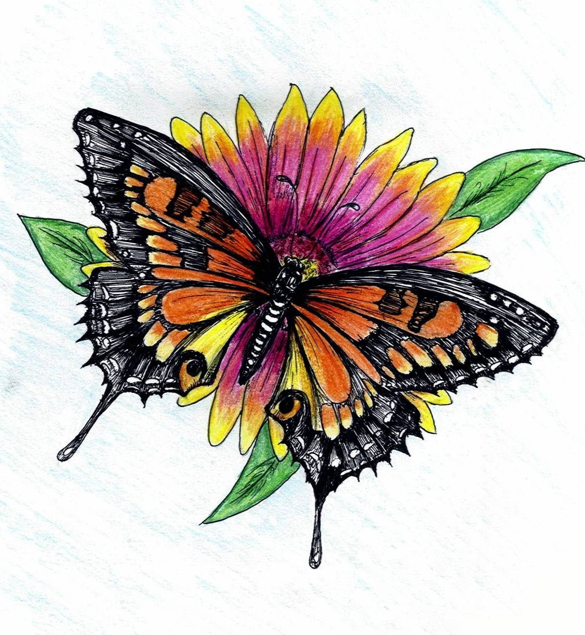Без цветной рисунок. Бабочка на цветке рисунок. Бабочки на цветах рисунки. Бабочки рисунки цветные. Цветы цветными карандашами.