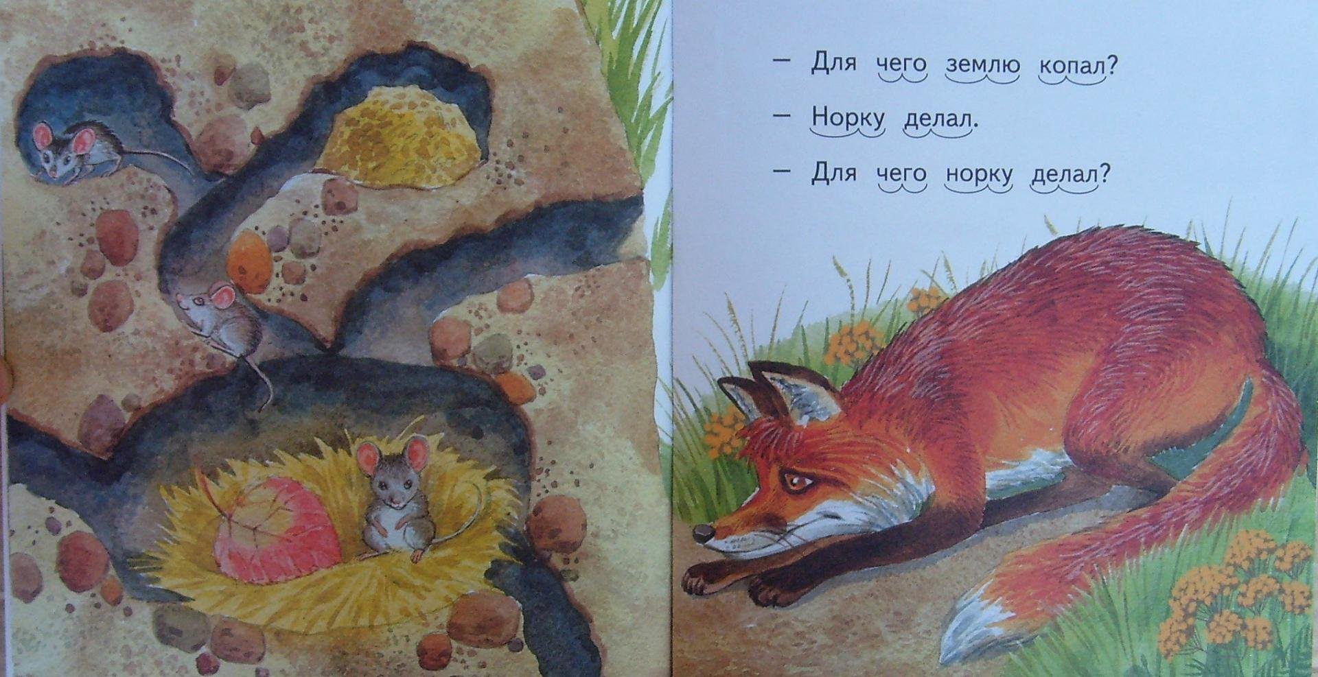 Лис и медведь читать. Сказка Бианки Лис и мышонок. Сказки Бианки «Лис и мышонок» картинка для детей.