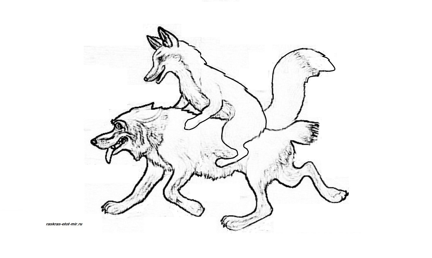 Лиса провела волка. Раскраски к сказке Лисичка сестричка и серый волк. Раскраска волк. Волк и лиса раскраска. Лиса и волк. Сказка-раскраска.