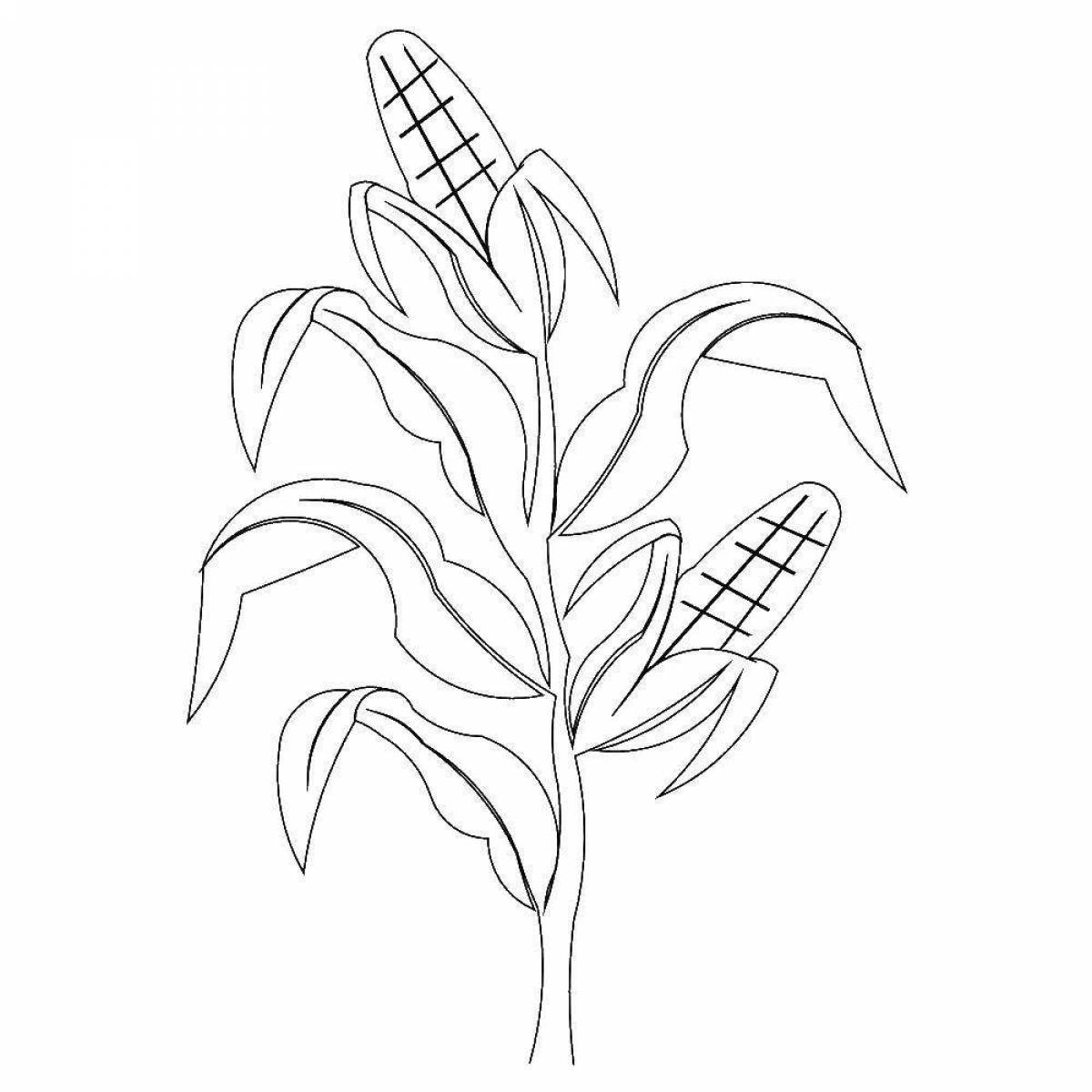 Культурные растения нарисовать. Кукуруза раскраска. Кукуруза карандашом. Кукуруза раскраска для малышей. Кукуруза рисунок карандашом.