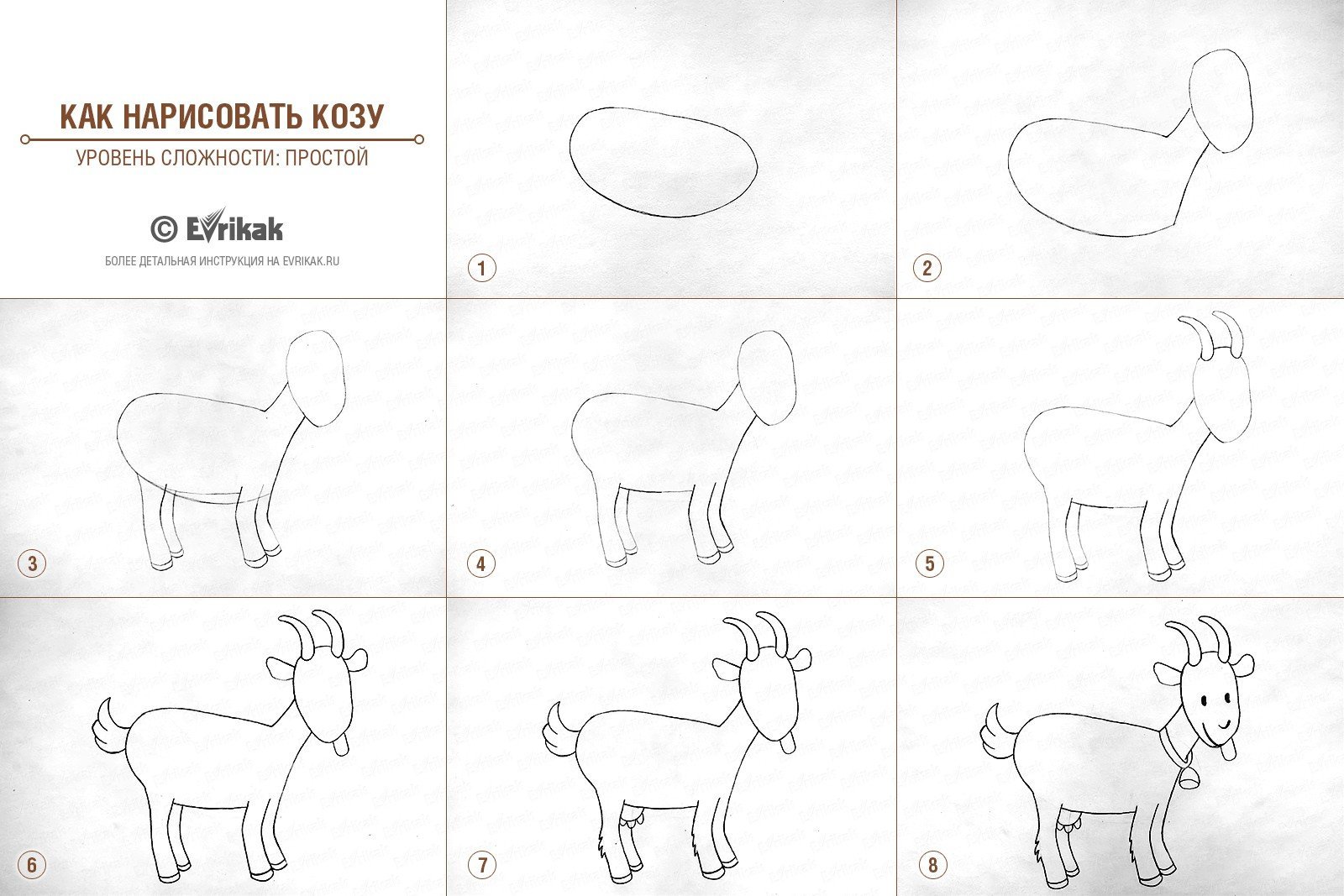 Коза рисунок для детей карандашом легко