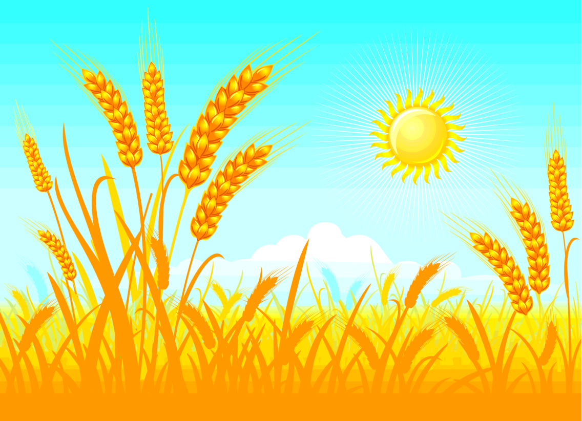 Пшеничное поле рисунок для детей