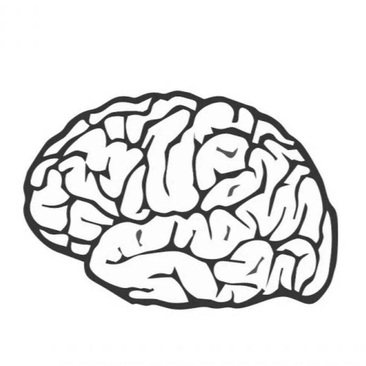 Мозги украду. Мозг раскраска. Мозг нарисованный. Мозг контур.