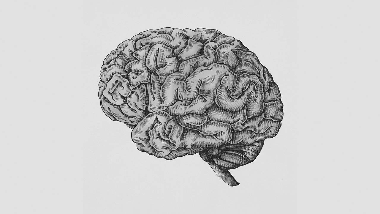 Слова с буквами мозги. Мозг мышление. Мозг абстракция. Мозг вектор. Стресс мозг.