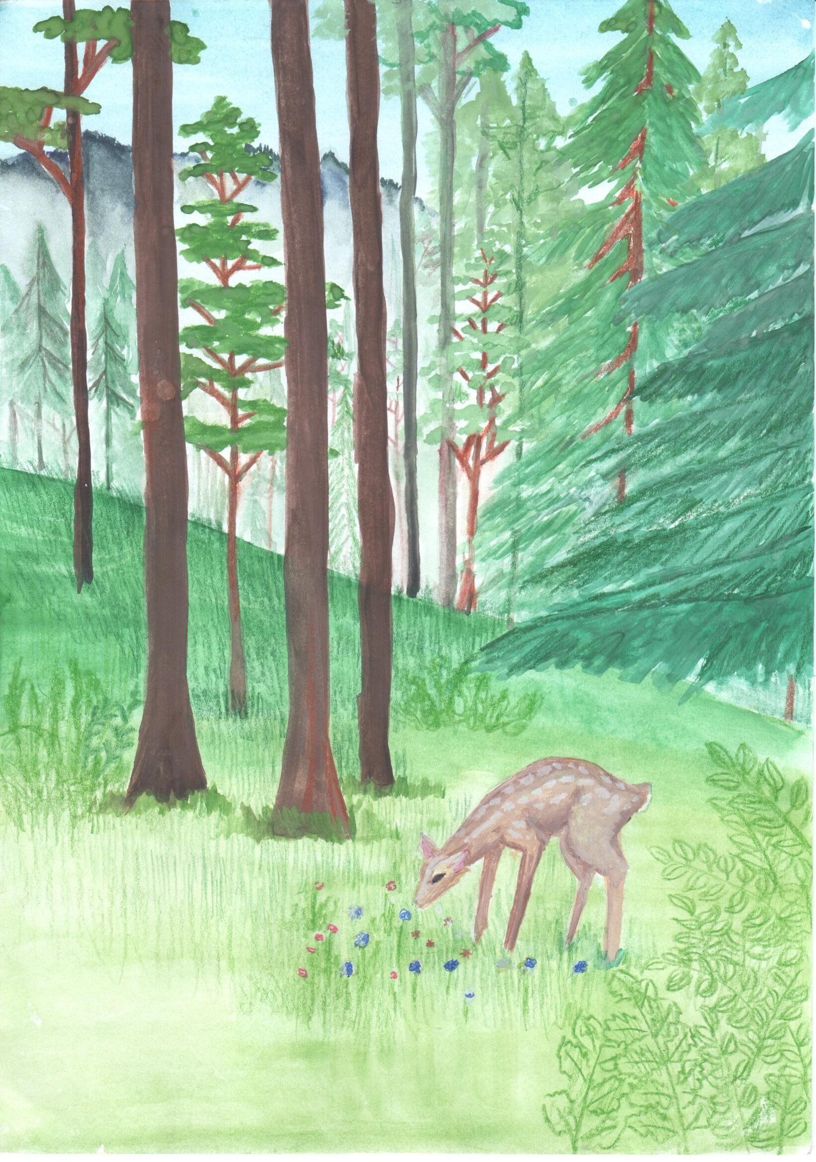 Лесная красота рисунок. Лес рисунок. Красота леса рисунок. Рисунок леса для детей. Рисунок на тему лес.