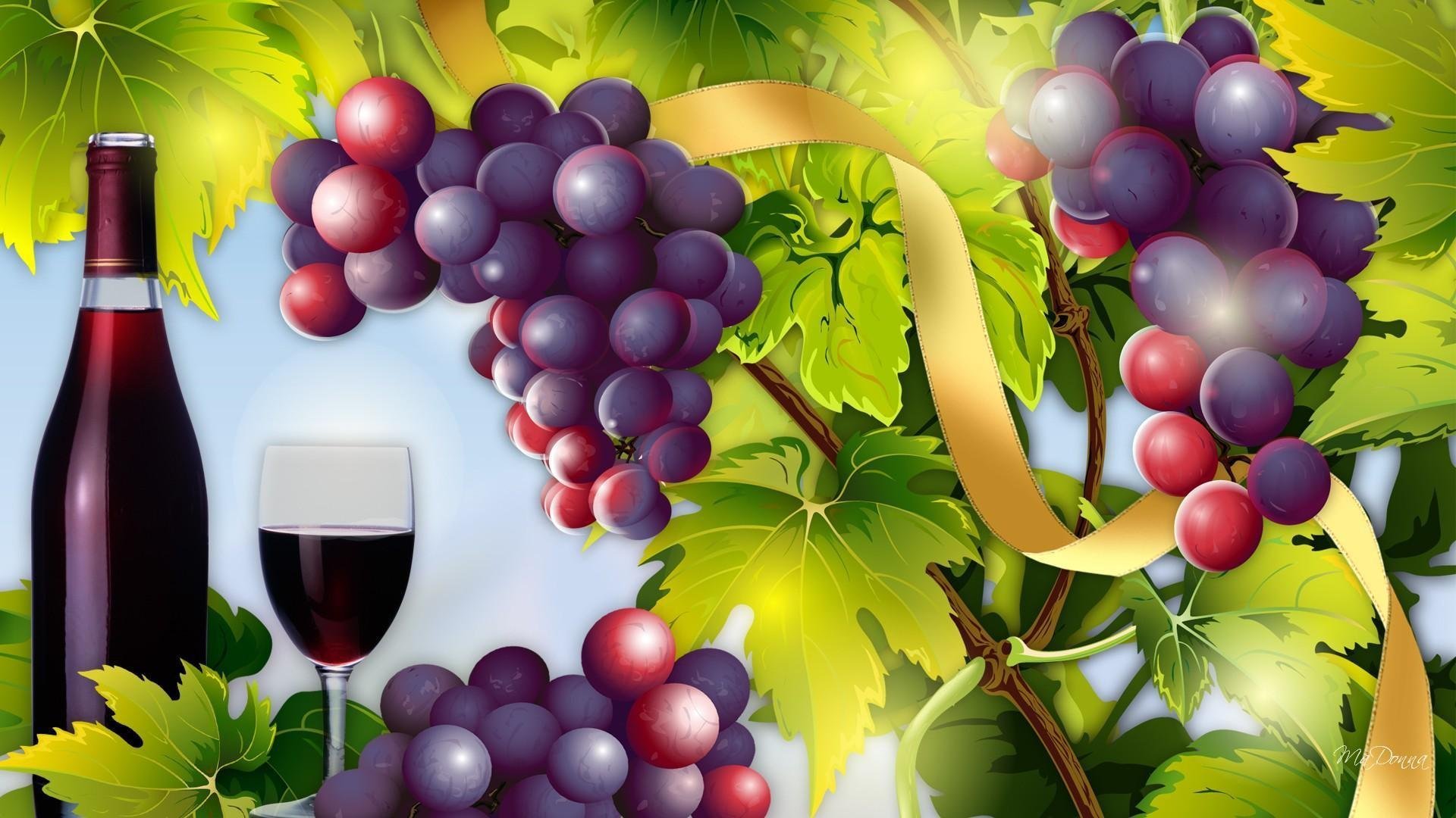 Виноградное вино сканворд. Vino Виноградная лоза vector. Виноградная лоза вино вектор. Вино Виноградная гроздь.