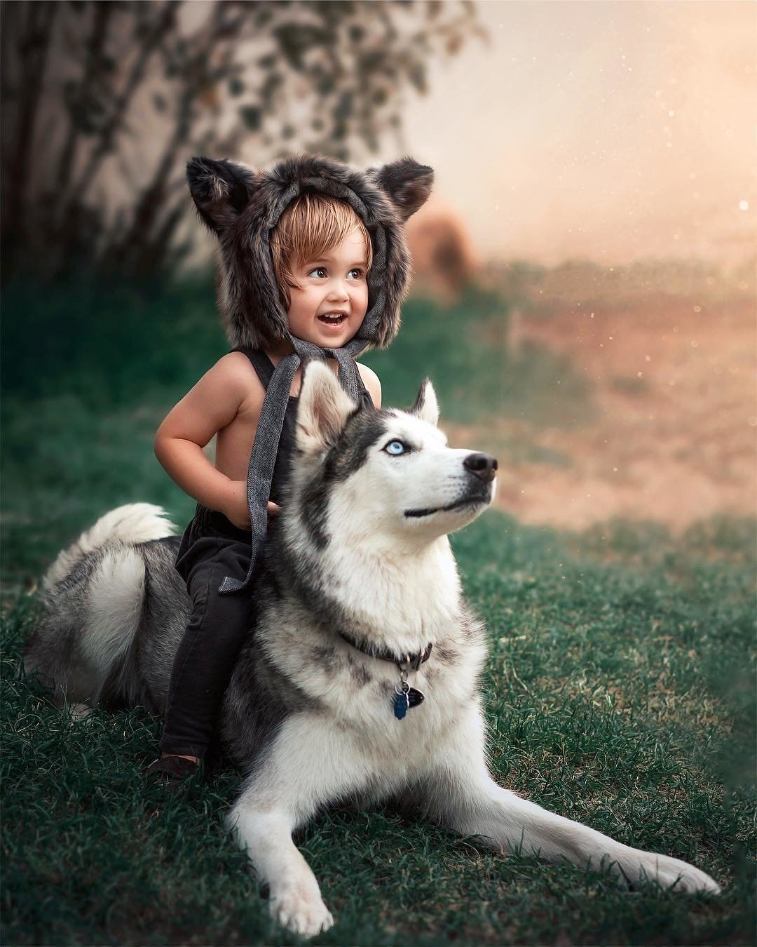 Девочка с собакой из лайка. Для детей. Животные. Красивые дети с животными. Маленькие дети и животные. Девочка с собакой.