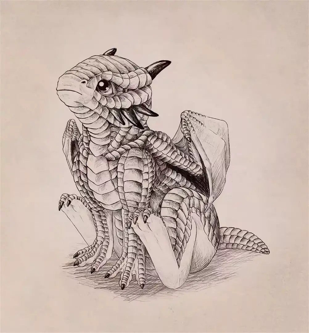 Dragon graphics. Дракон тату эскиз. Карандашные Наброски дракон. Дракон рисунок карандашом. Дракончики карандашом.