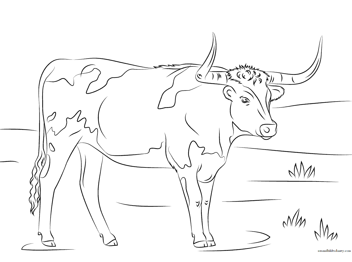 Раскрашивать коров. Раскраска корова. Корова раскраска для детей. Бык раскраска. Корова рисунок раскраска.