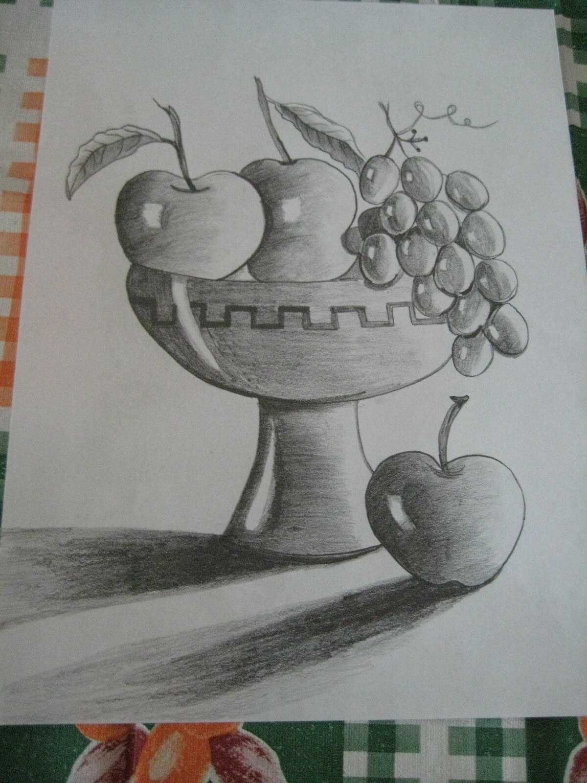Изо 9 класс рисунки. Натюрморт с фруктами рисунок. Натюрморт карандашом для начинающих. Натюрморт с фруктами карандашом. Натюрморт с фруктами карандашом для начинающих.