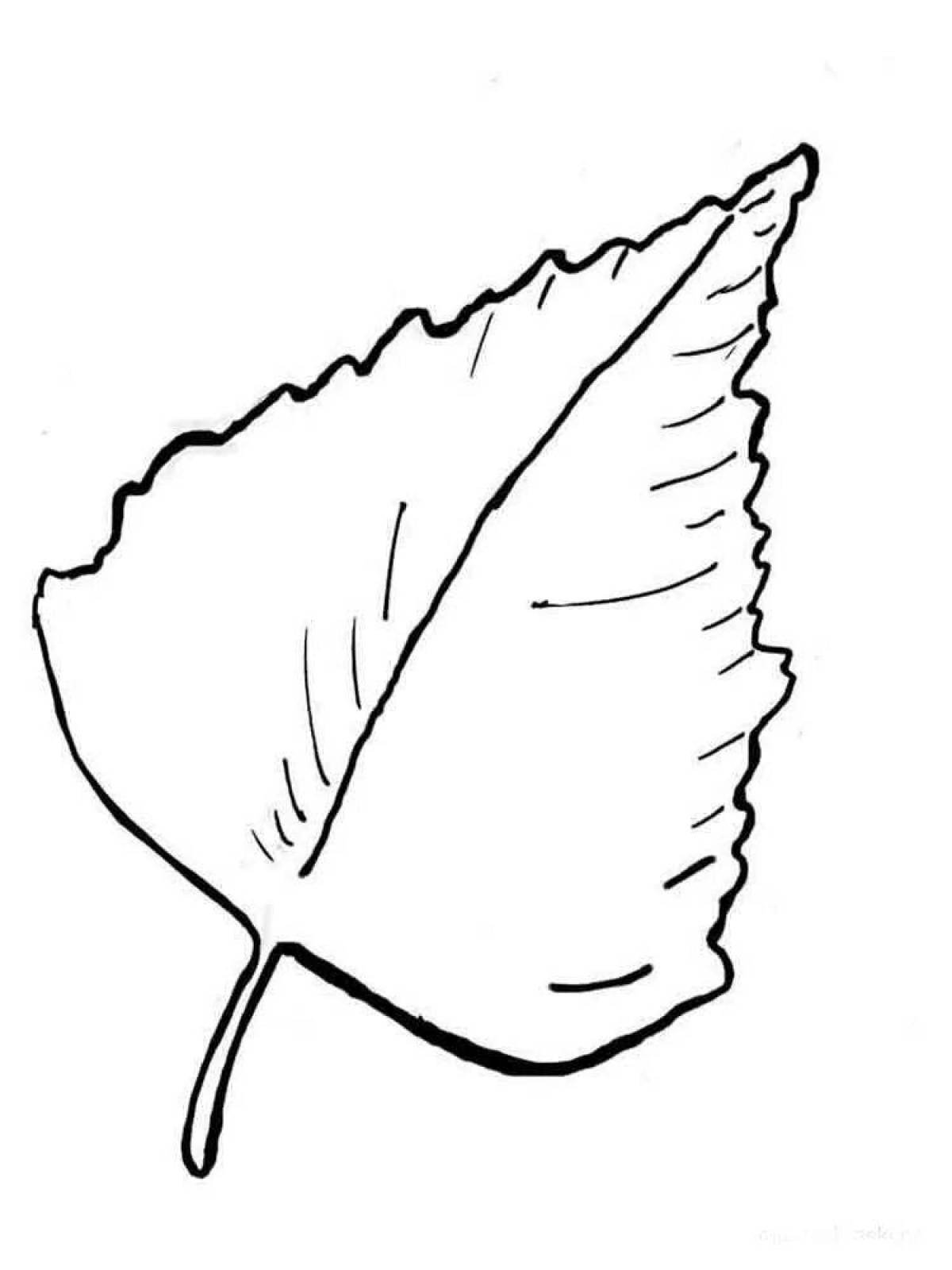 Листья березы шаблоны для вырезания