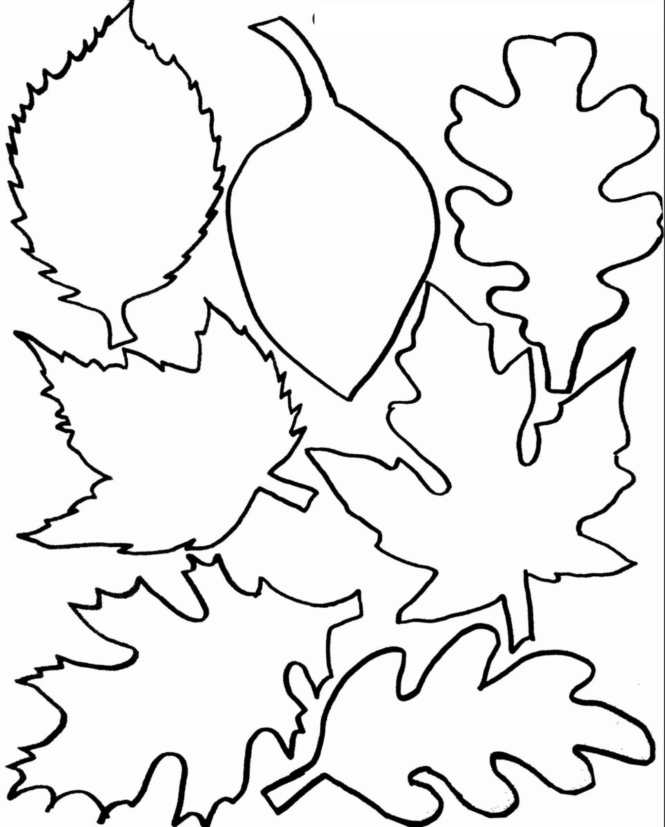Листья трафарет для вырезания