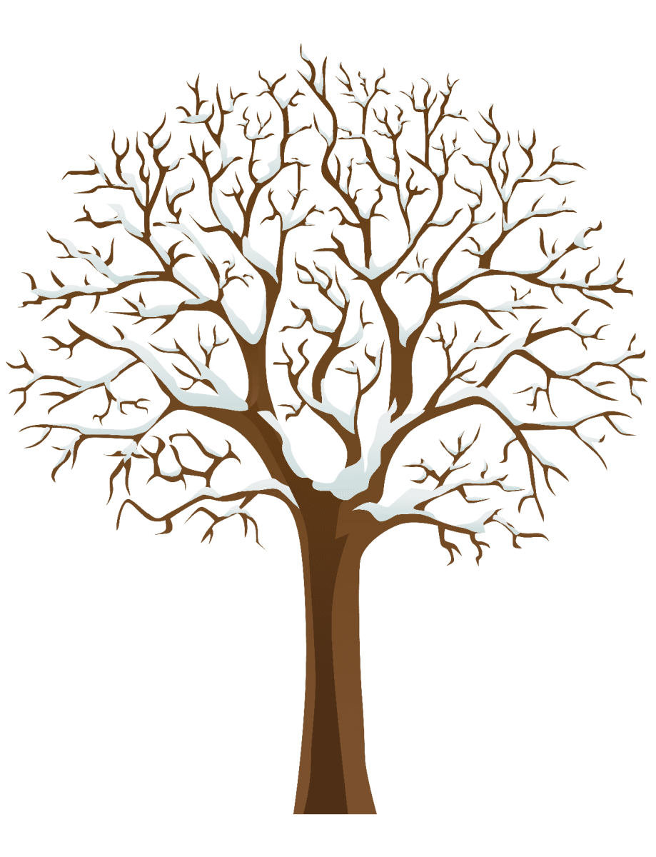 Ствол дерева без листьев