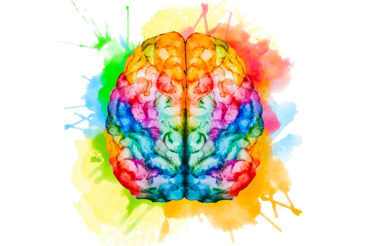 Мозг детский рисунок