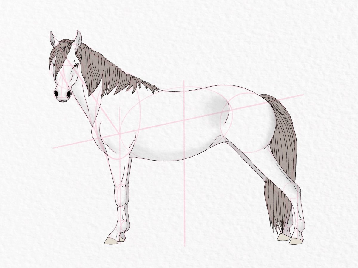 Лошадь карандашом. Лошадь с боку рисунок. Картинки лошадей нарисованных карандашом. Лошадь наполовину нарисованная. Телосложение лошади 5 букв