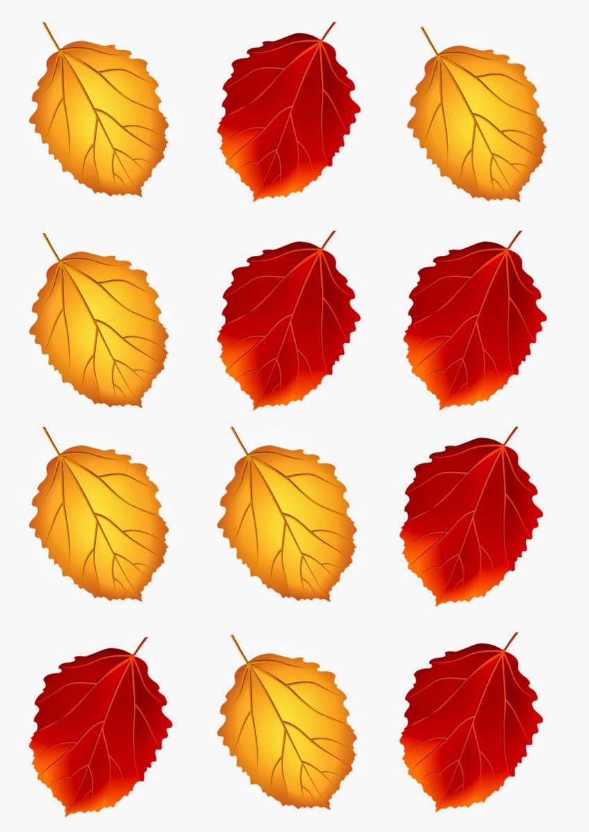 Осенние листья для вырезания. Осенние листья. Цветной лист. Листочки деревьев. Листья деревьев осенью.