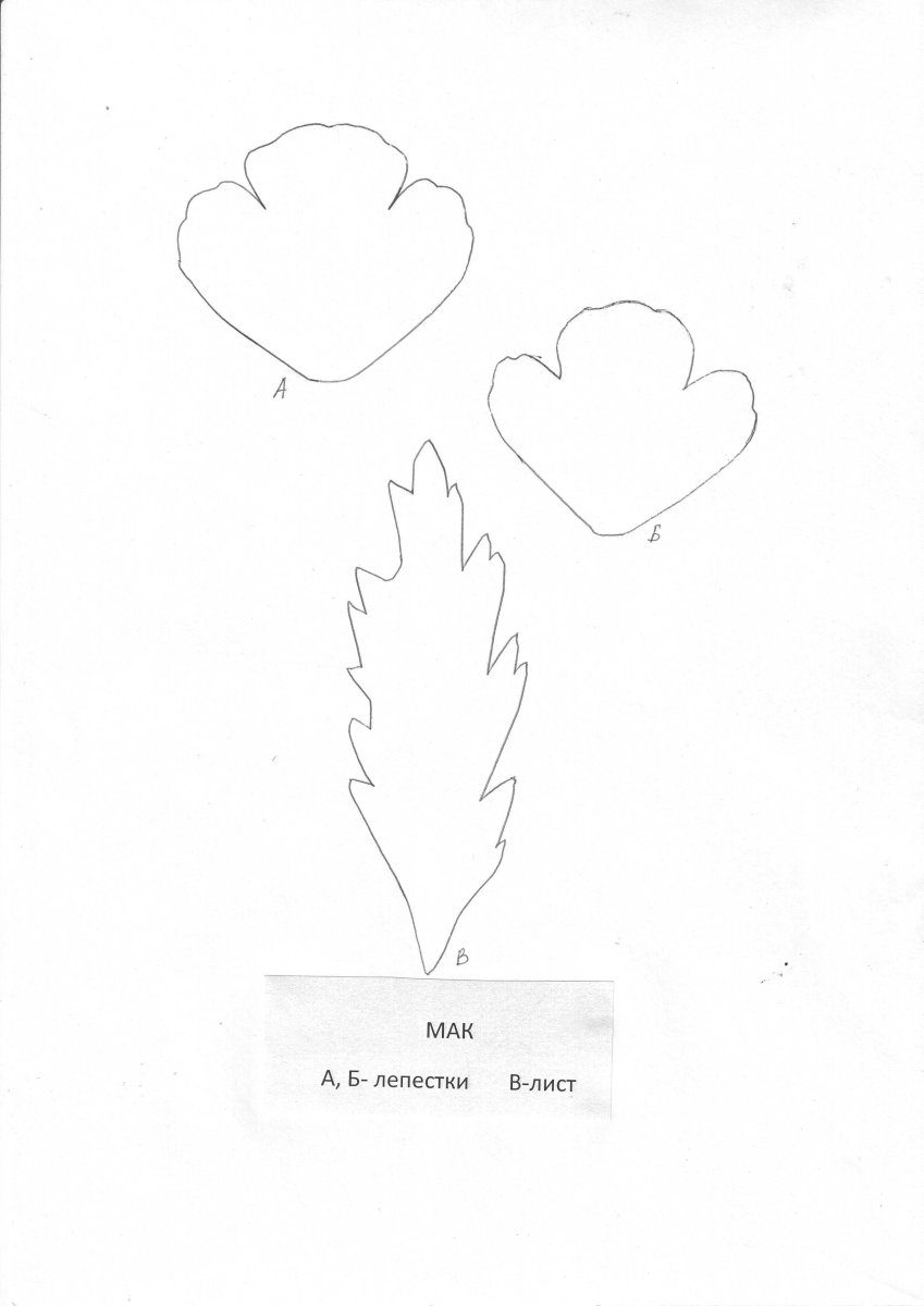 Лист мака шаблон