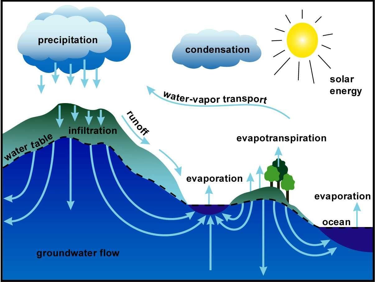 Какие процессы относятся к круговороту воды